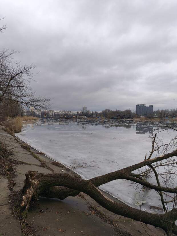 #Донецк #ДНР #Донецк2026 #ДНРжизнь #ДонецкНашДом #Новороссия #СпасениеДонбасса