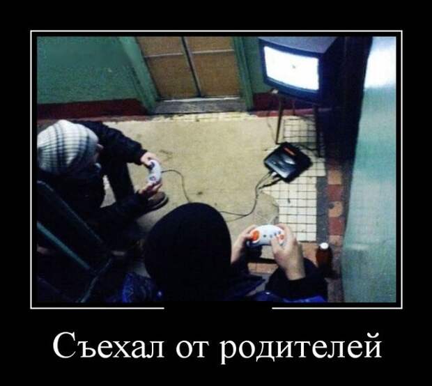 Демотиваторы (30 фото)