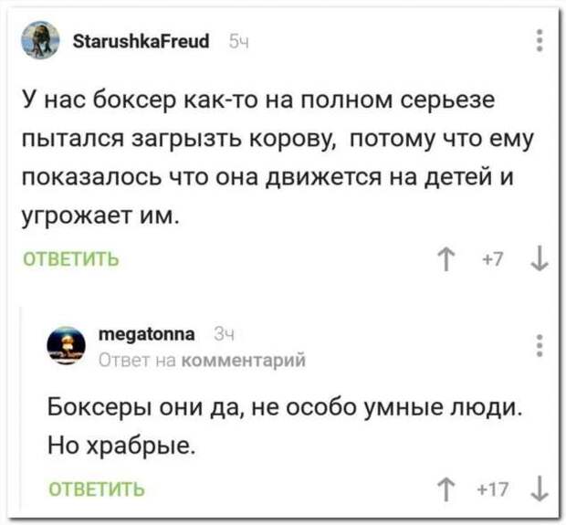 Смешные комментарии. Подборка chert-poberi-kom-chert-poberi-kom-56010919052020-16 картинка chert-poberi-kom-56010919052020-16