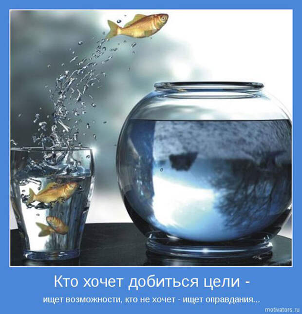 1581448699_1445504322_mot09.jpg