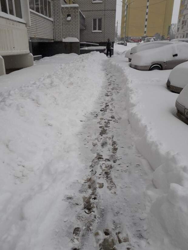 Россия выпал снег. Снег по колено. Сугробы по колено. 40 См снега. Снежный Покров 40 см.