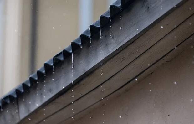 Туляков 2 апреля ждут дожди и похолодание до +10 градусов