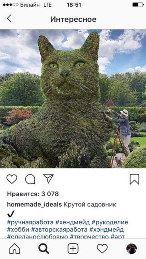 Деграклассники Деграклассники