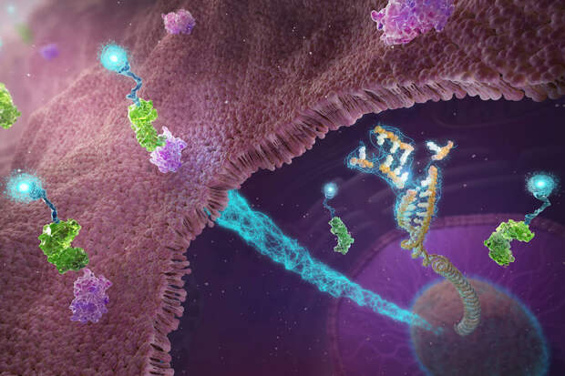 "Газета.Ru" подготовила спецпроект о современных методах терапии злокачественных опухолей