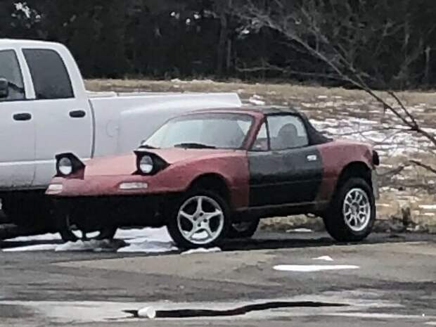 Автовсячина