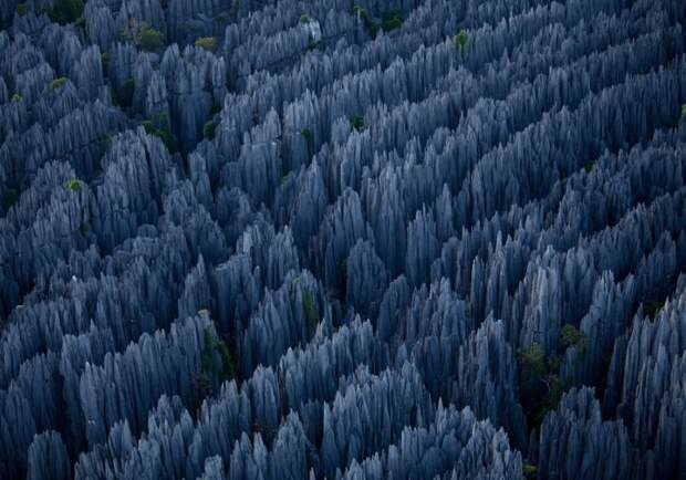 Каменный лес на Мадагаскаре. Фото