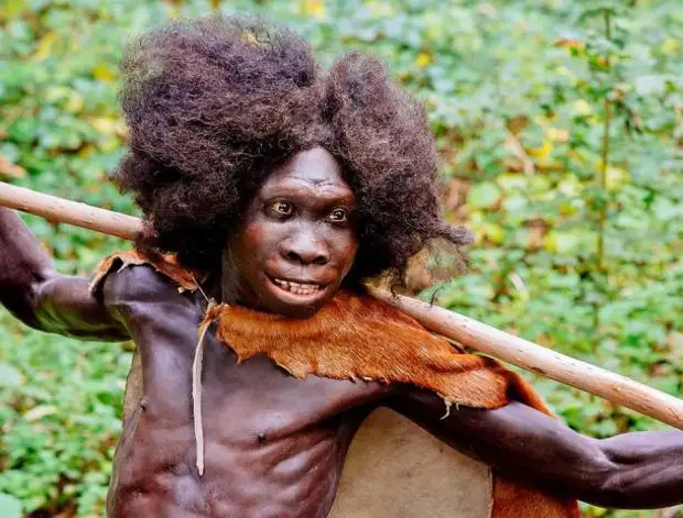 Научное исследование опровергает гипотезу о мясной диете человека, меняя эволюционную историю