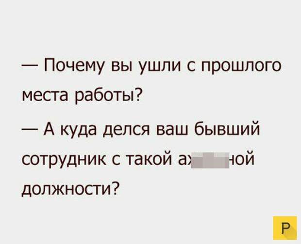 Приколы о собеседованиях и поисках работы (22 фото)