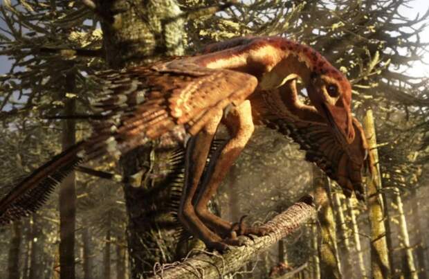 Да, единственный предположительно ядовитый динозавр выглядел как курица, не удивляйтесь.