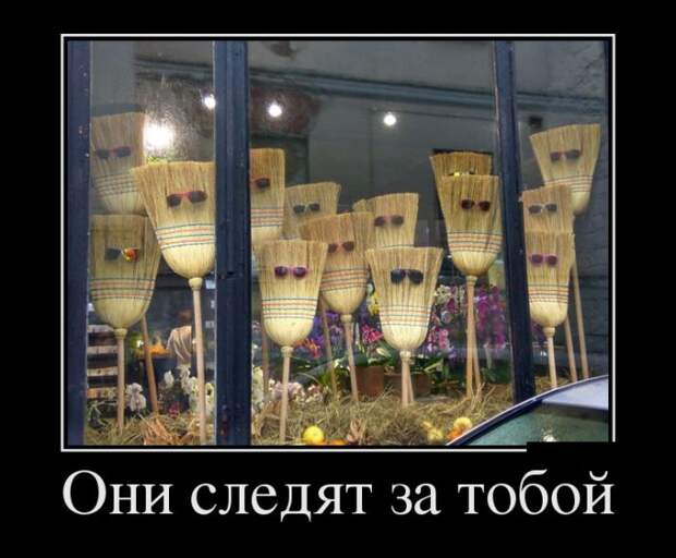 Демотиваторы (30 фото)