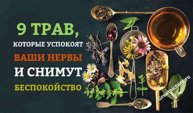 9 ÑÑÐ°Ð², ÐºÐ¾ÑÐ¾ÑÑÐµ ÑÑÐ¿Ð¾ÐºÐ¾ÑÑ Ð²Ð°ÑÐ¸ Ð½ÐµÑÐ²Ñ Ð¸ ÑÐ½Ð¸Ð¼ÑÑ Ð±ÐµÑÐ¿Ð¾ÐºÐ¾Ð¹ÑÑÐ²Ð¾