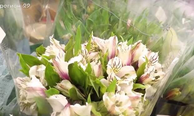 В Архангельск привезли экзотические цветы к 8 марта
