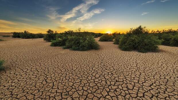 На Западе США зафиксирована экстремальная для марта жара выше 40 градусов
