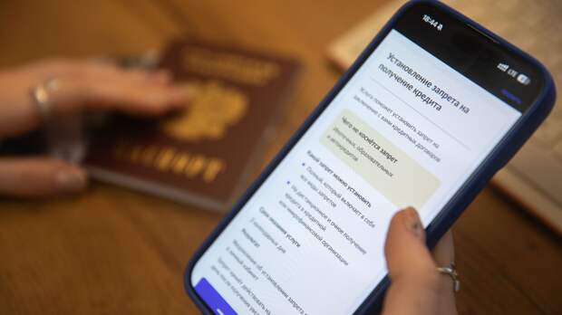 Володин: россияне за год установили 22 млн самозапретов на кредиты