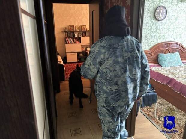 Пролетарка схватила за волосы сотрудницу полиции