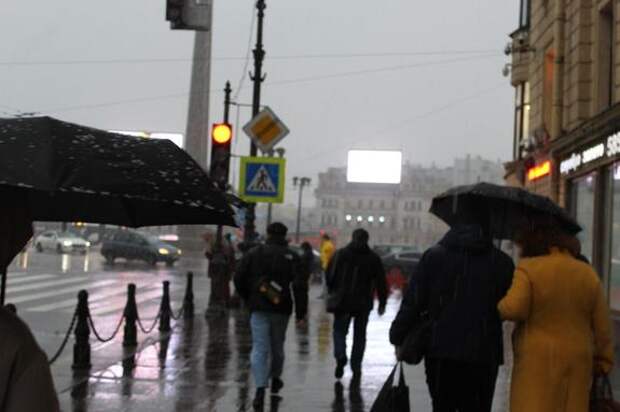 МЧС предупредило петербуржцев о штормовом ветре и мокром снеге в пятницу