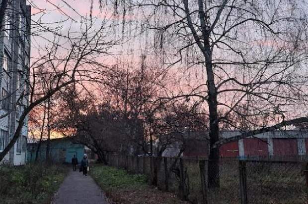 Над Тамбовской областью ночью сбили два БПЛА