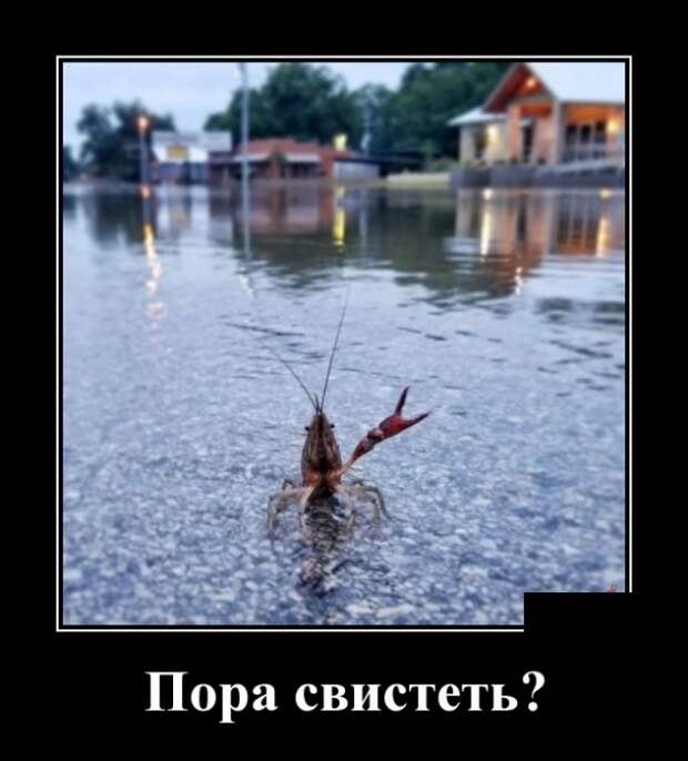 Демотиваторы (30 фото)