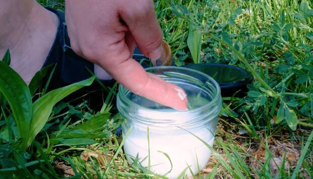 натуральный репеллент