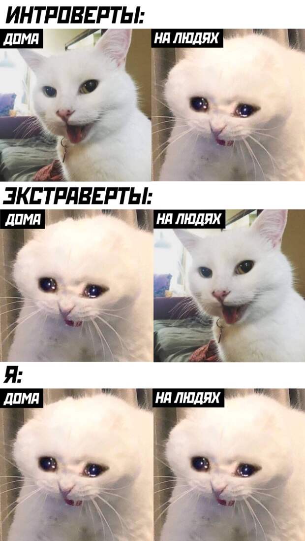 Смешные фото 6 августа 2020