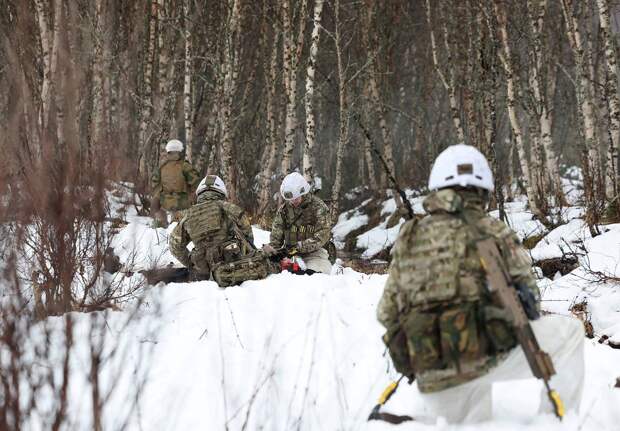 Полковник оценил шансы отправки войск Франции и Великобритании на Украину