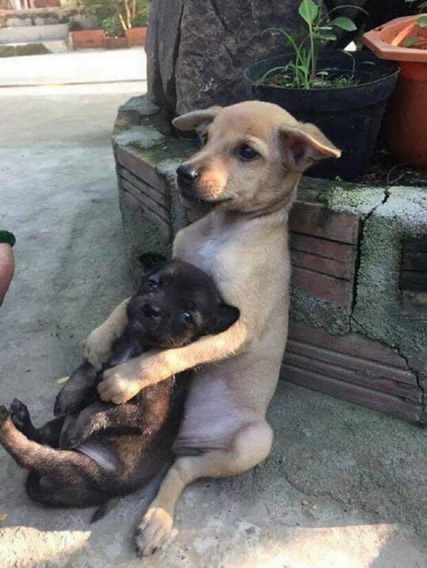 Фотоподборка