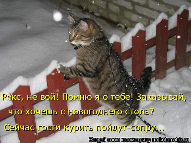 1483359574_011 (600x450, 53Kb)