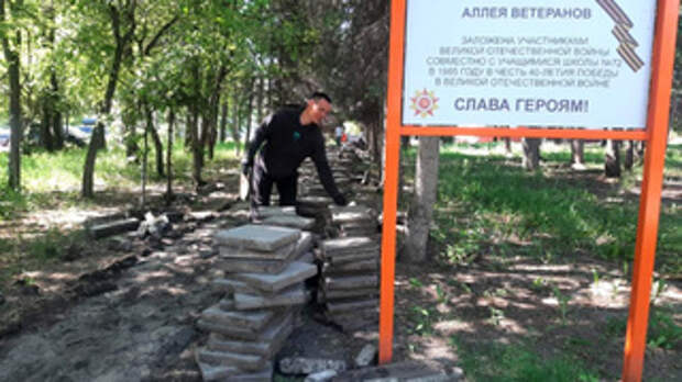 Благоустройство аллеи Ветеранов ВОВ в  Барнауле / Фото: barnaul.org