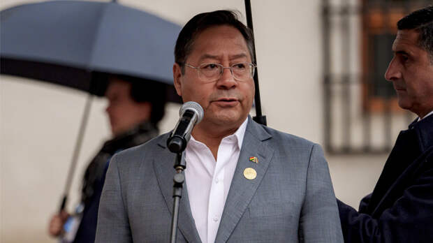 Президент Боливии: БРИКС предоставляет большие возможности для его членов