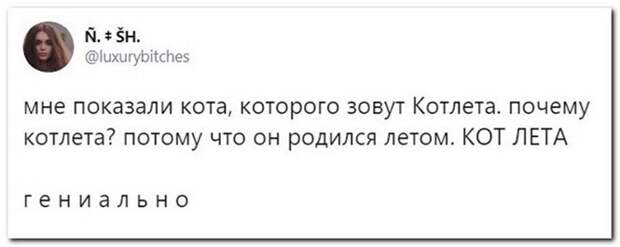 Котлета )