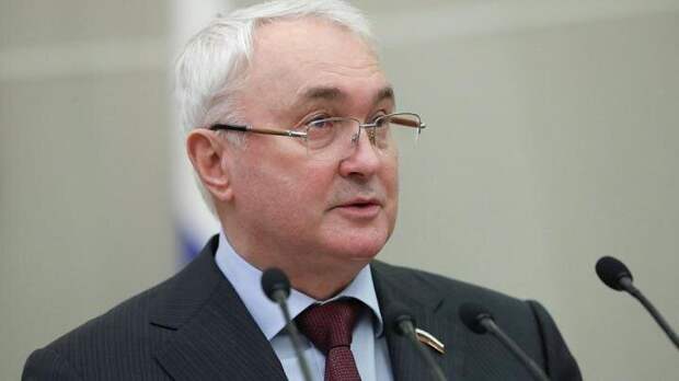 Фото: duma.gov.ru