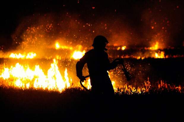 Лесные пожары могут привести к выбросу огромного количества мышьяка в атмосферу