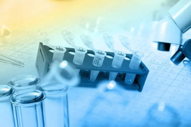 Источник фото: ru.123rf.com