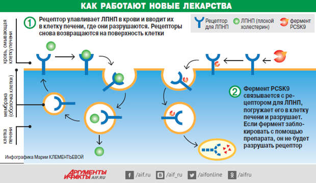 Нажмите для увеличения