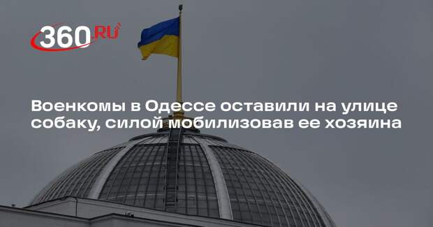 Военкомы в Одессе оставили на улице собаку, силой мобилизовав ее хозяина