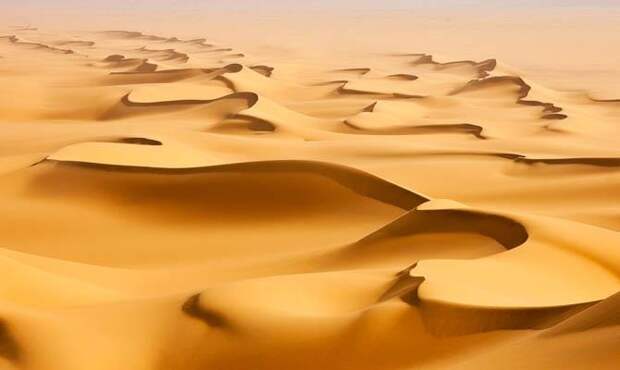 Саудовская Аравия пустыня, Интересные факты о Пустыне