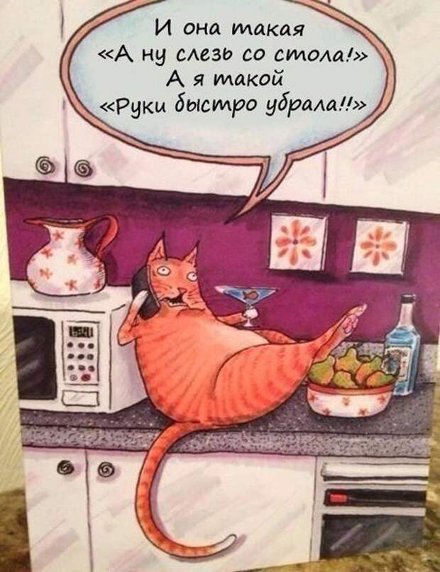No2fYjXTLak