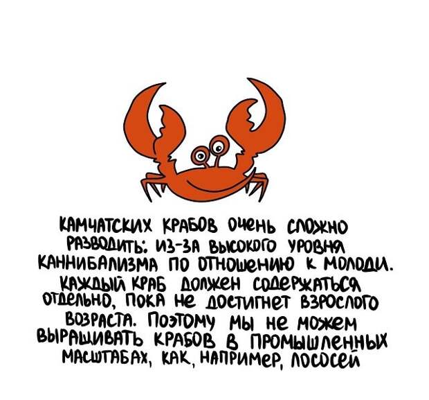 Интересные и короткие факты на все случаи жизни