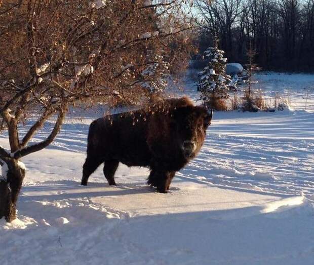Freddy, standing still for once.