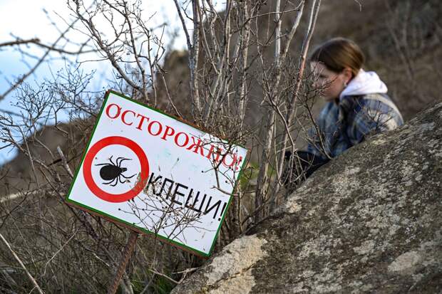 Россиян призвали готовиться к аномальному нашествию паразитов