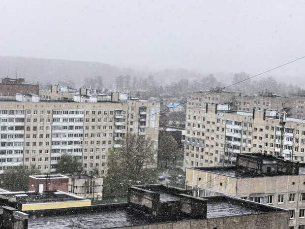 Петербург засыпает апрельским снегом — фото