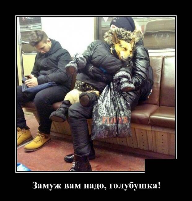 Демотиваторы
