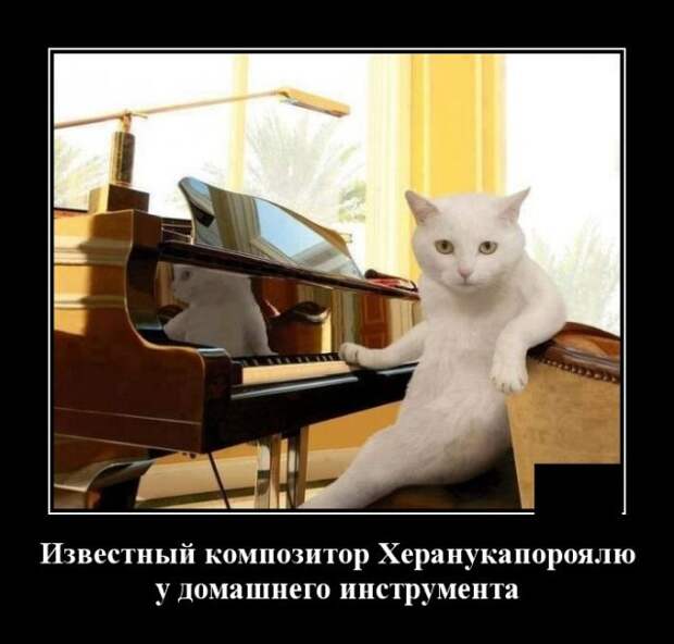 Демотиватор про кота