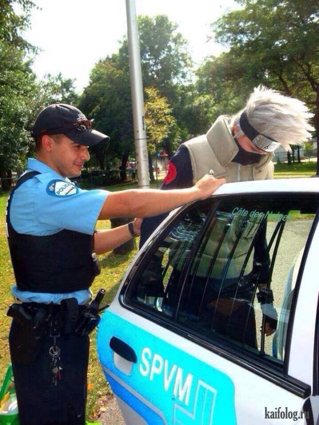 Приколы (55 фото)