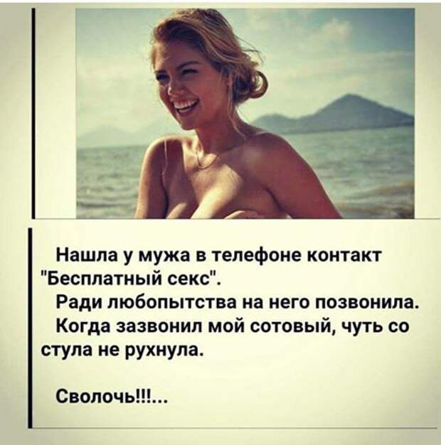 Веселые картинки с надписями про животных (11 фото)