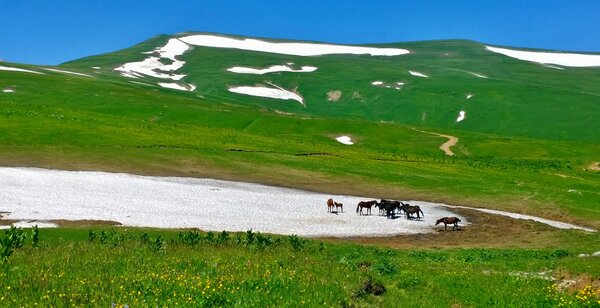 Гора Мессо