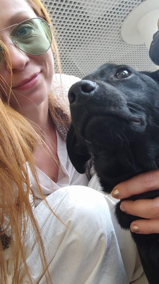 В областном центре состоялась выставка-раздача бездомных животных