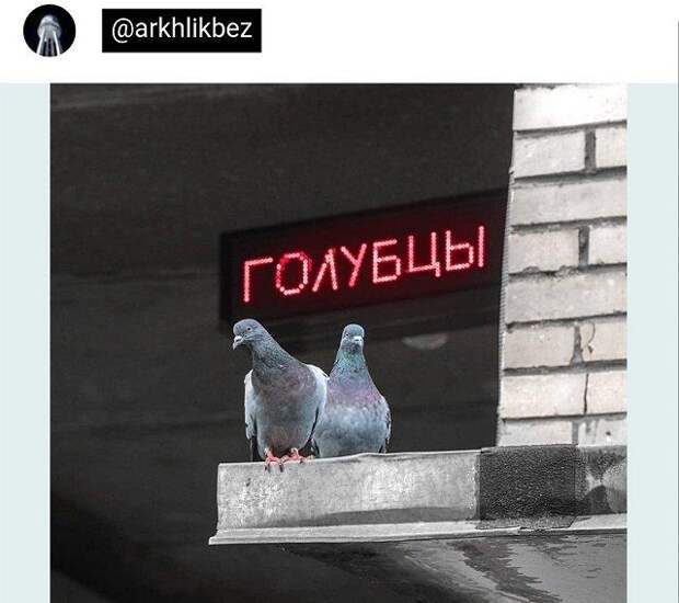 Подборка забавных твитов обо всем (15 фото)