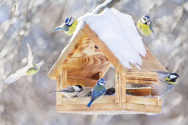 Гидрометцентр спрогнозировал потепление в Москве до 1°C к 14 февраля