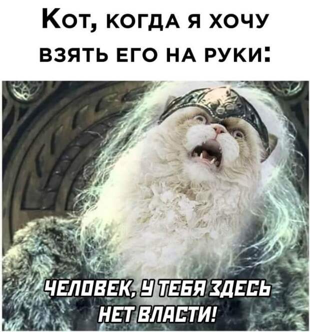 Смешные картинки 21 июня 2021